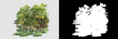 Kolaj için izole edilmiş 3d ağaç oluşturucu, alfa kanalı