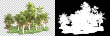 Kolaj için izole edilmiş 3d ağaç oluşturucu, alfa kanalı