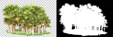 Kolaj için izole edilmiş 3d ağaç oluşturucu, alfa kanalı