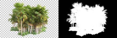 Kolaj için izole edilmiş 3d ağaç oluşturucu, alfa kanalı