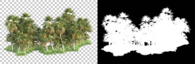 Arka planda maskeyle izole edilmiş tropik orman. 3d görüntüleme - illüstrasyon