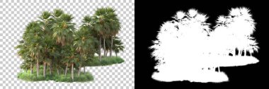 Arka planda maskeyle izole edilmiş tropik orman. 3d görüntüleme - illüstrasyon