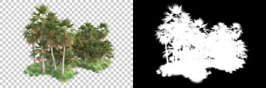 Kolaj için izole edilmiş 3d ağaç oluşturucu, alfa kanalı