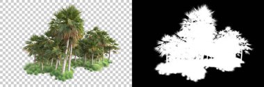 Kolaj için izole edilmiş 3d ağaç oluşturucu, alfa kanalı