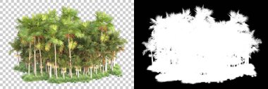 Kolaj için izole edilmiş 3d ağaç oluşturucu, alfa kanalı