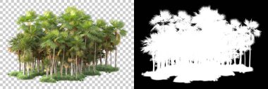 Kolaj için izole edilmiş 3d ağaç oluşturucu, alfa kanalı