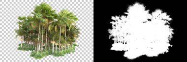 Kolaj için izole edilmiş 3d ağaç oluşturucu, alfa kanalı