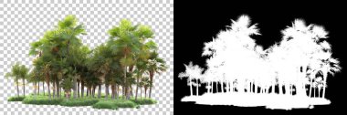 Kolaj için izole edilmiş 3d ağaç oluşturucu, alfa kanalı