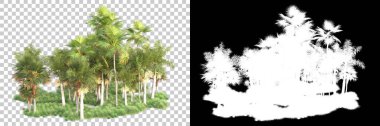 Kolaj için izole edilmiş 3d ağaç oluşturucu, alfa kanalı