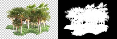 Kolaj için izole edilmiş 3d ağaç oluşturucu, alfa kanalı