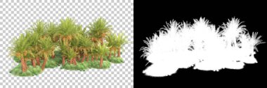 Kolaj için izole edilmiş 3d ağaç oluşturucu, alfa kanalı