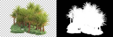 Kolaj için izole edilmiş 3d ağaç oluşturucu, alfa kanalı