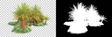 Kolaj için izole edilmiş 3d ağaç oluşturucu, alfa kanalı
