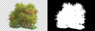 Kolaj için izole edilmiş 3d ağaç oluşturucu, alfa kanalı