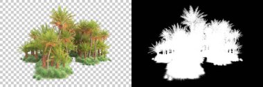 Kolaj için izole edilmiş 3d ağaç oluşturucu, alfa kanalı
