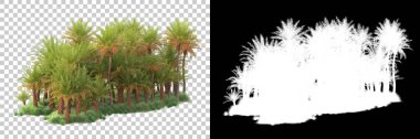Kolaj için izole edilmiş 3d ağaç oluşturucu, alfa kanalı