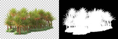 Kolaj için izole edilmiş 3d ağaç oluşturucu, alfa kanalı