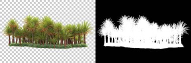Kolaj için izole edilmiş 3d ağaç oluşturucu, alfa kanalı