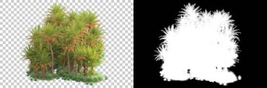 Kolaj için izole edilmiş 3d ağaç oluşturucu, alfa kanalı