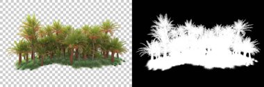 Kolaj için izole edilmiş 3d ağaç oluşturucu, alfa kanalı