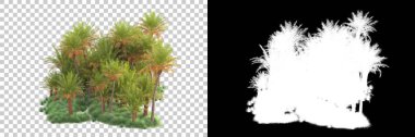 Kolaj için izole edilmiş 3d ağaç oluşturucu, alfa kanalı