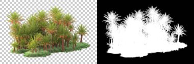 Kolaj için izole edilmiş 3d ağaç oluşturucu, alfa kanalı