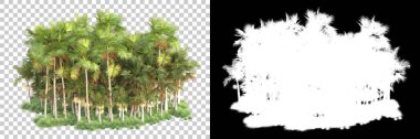 Kolaj için izole edilmiş 3d ağaç oluşturucu, alfa kanalı