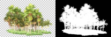 Kolaj için izole edilmiş 3d ağaç oluşturucu, alfa kanalı