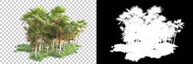 Kolaj için izole edilmiş 3d ağaç oluşturucu, alfa kanalı