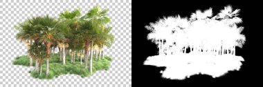 Kolaj için izole edilmiş 3d ağaç oluşturucu, alfa kanalı