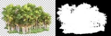 Kolaj için izole edilmiş 3d ağaç oluşturucu, alfa kanalı
