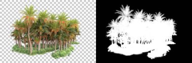 Kolaj için izole edilmiş 3d ağaç oluşturucu, alfa kanalı