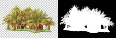 Kolaj için izole edilmiş 3d ağaç oluşturucu, alfa kanalı