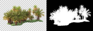 Kolaj için izole edilmiş 3d ağaç oluşturucu, alfa kanalı