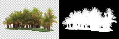 Kolaj için izole edilmiş 3d ağaç oluşturucu, alfa kanalı