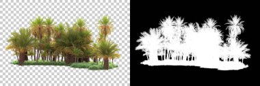 Kolaj için izole edilmiş 3d ağaç oluşturucu, alfa kanalı