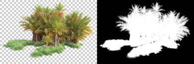 Kolaj için izole edilmiş 3d ağaç oluşturucu, alfa kanalı
