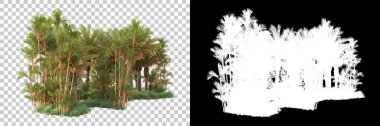 Kolaj için izole edilmiş 3d ağaç oluşturucu, alfa kanalı