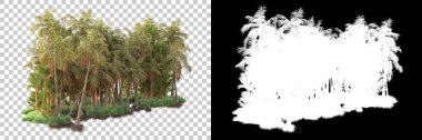 Kolaj için izole edilmiş 3d ağaç oluşturucu, alfa kanalı