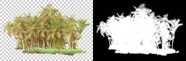 Kolaj için izole edilmiş 3d ağaç oluşturucu, alfa kanalı