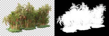 Kolaj için izole edilmiş 3d ağaç oluşturucu, alfa kanalı
