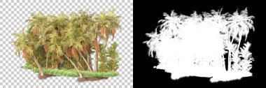 Kolaj için izole edilmiş 3d ağaç oluşturucu, alfa kanalı