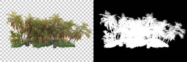 Kolaj için izole edilmiş 3d ağaç oluşturucu, alfa kanalı