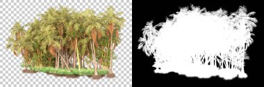 Kolaj için izole edilmiş 3d ağaç oluşturucu, alfa kanalı