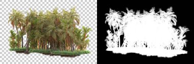 Kolaj için izole edilmiş 3d ağaç oluşturucu, alfa kanalı