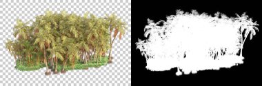Kolaj için izole edilmiş 3d ağaç oluşturucu, alfa kanalı