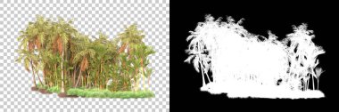 Kolaj için izole edilmiş 3d ağaç oluşturucu, alfa kanalı