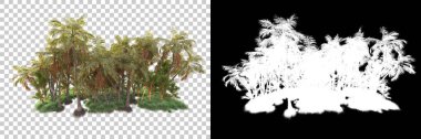Kolaj için izole edilmiş 3d ağaç oluşturucu, alfa kanalı