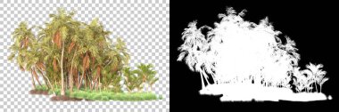 Kolaj için izole edilmiş 3d ağaç oluşturucu, alfa kanalı
