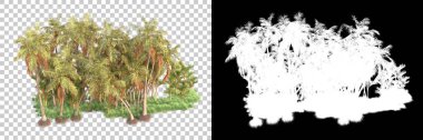 Kolaj için izole edilmiş 3d ağaç oluşturucu, alfa kanalı